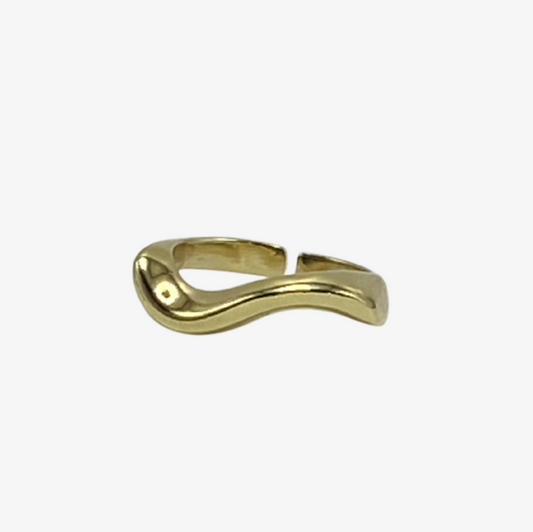 Anillo Balance